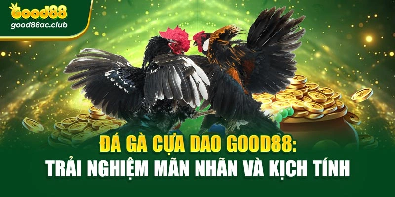 Đá Gà Cựa Dao Good88: Trải Nghiệm Mãn Nhãn Và Kịch Tính